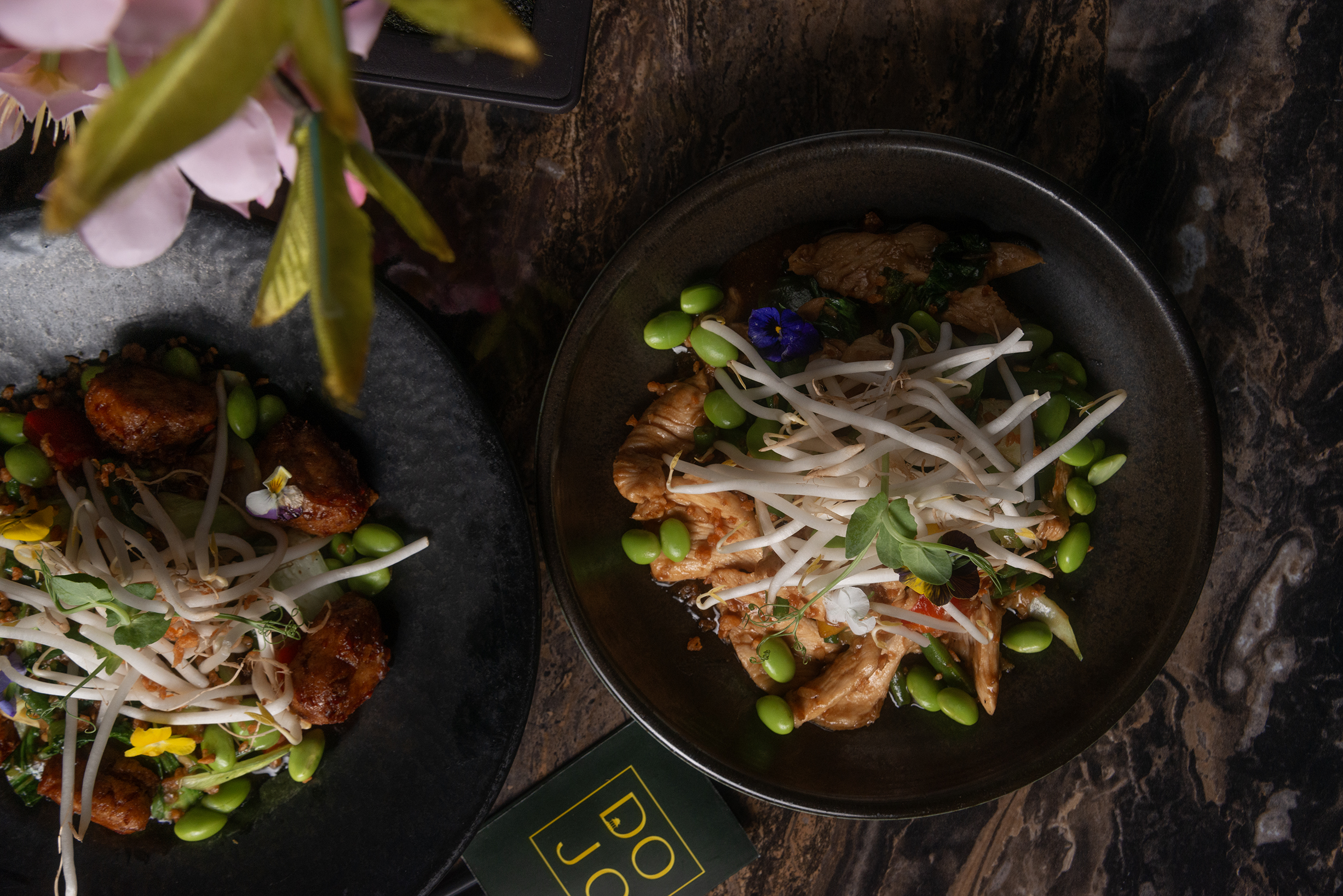 dojo-hatchend-chef-special-japanese-dish